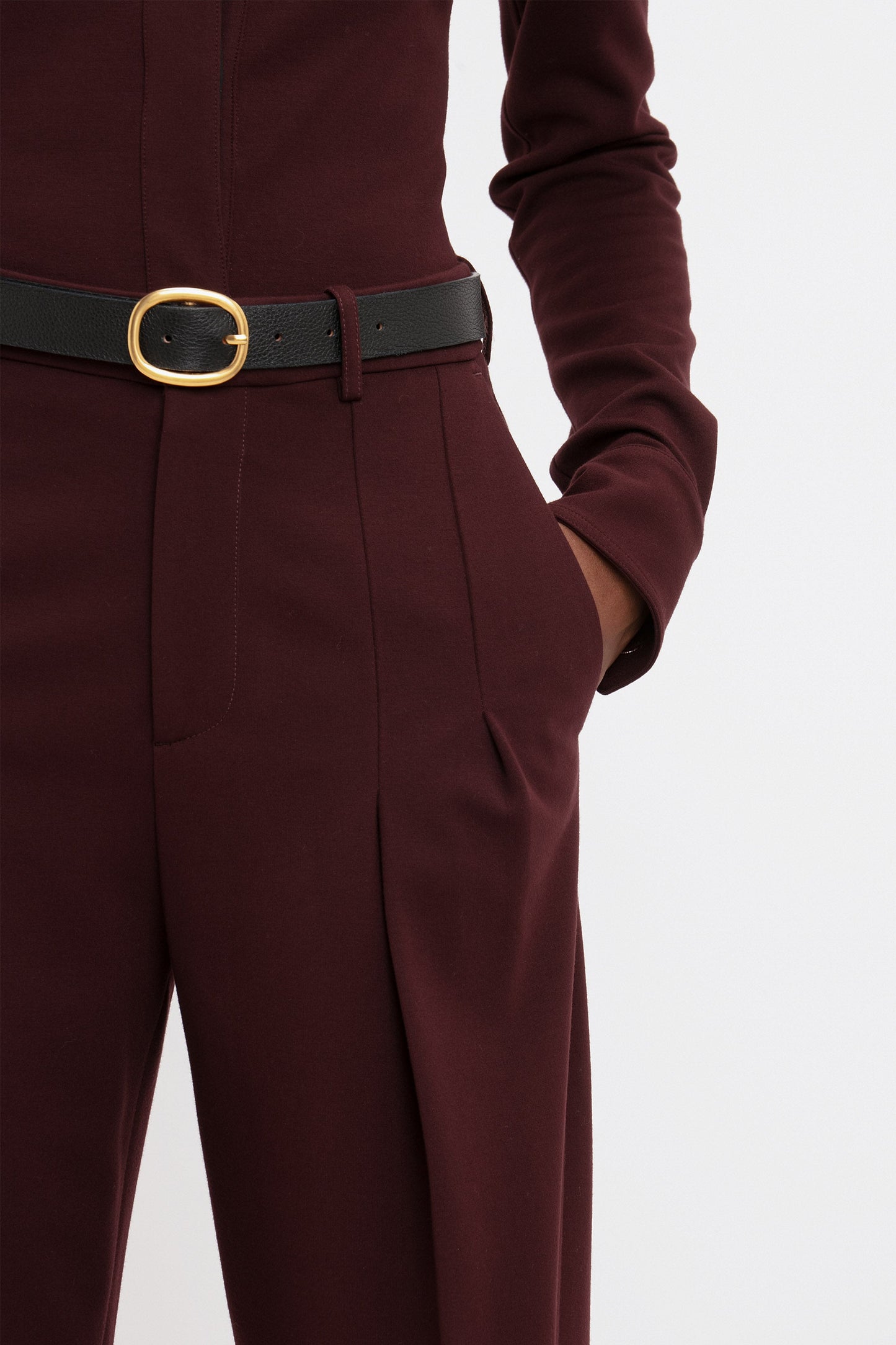 Front Pleat Trousers In Rosewood
