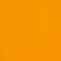 Wrap Front Midi Dress in Burnt Orange