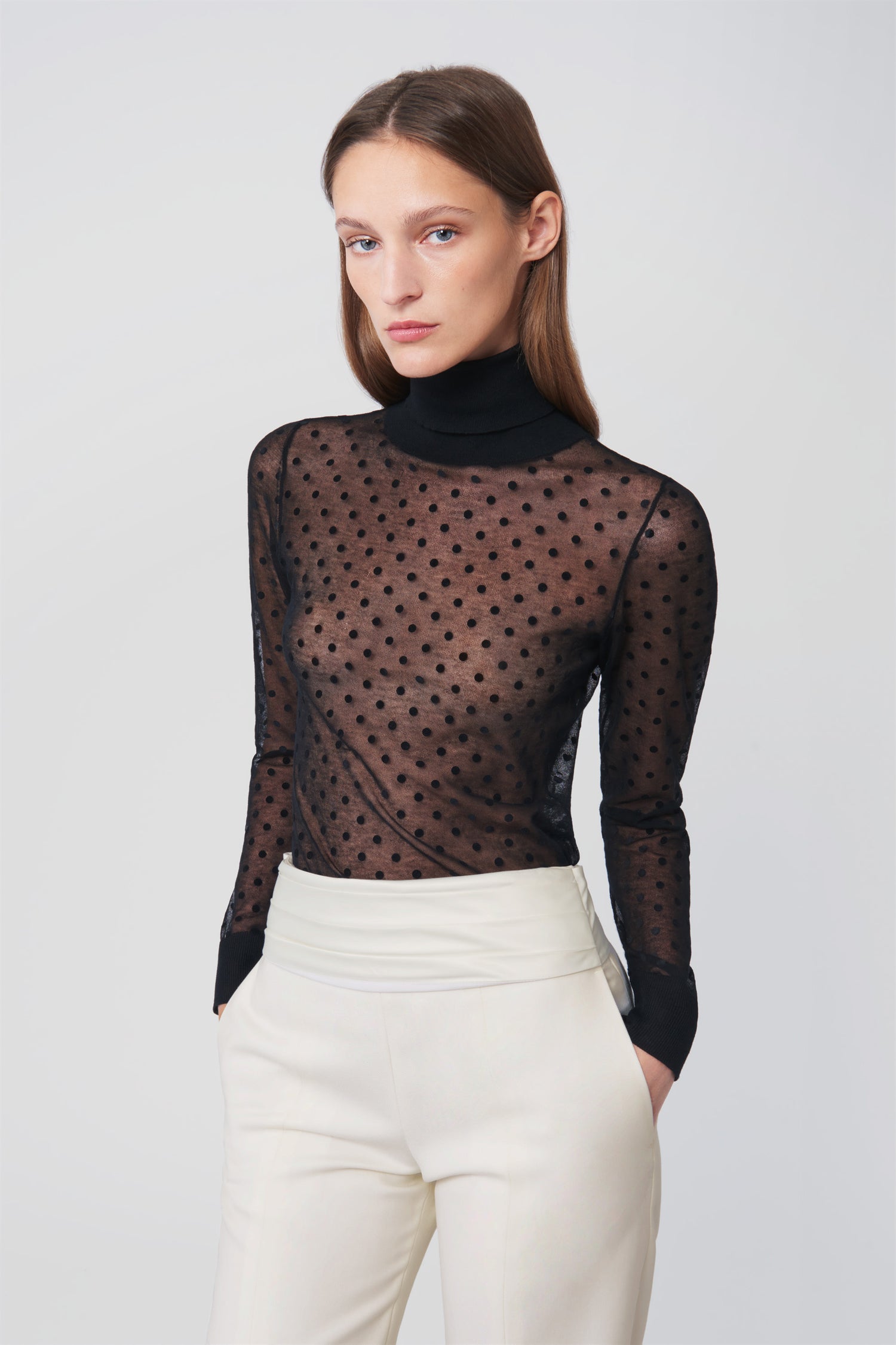 Sheer Polo Neck Top in Black